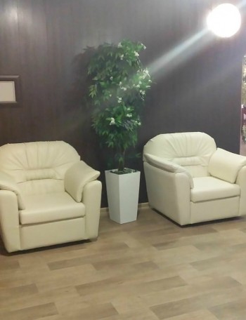 Кресло Премьер в Кедровом - kedrovyi.mebel54.com | фото