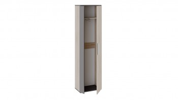 Шкаф для одежды «Нуар» тип 1 Фон серый/Дуб сонома в Кедровом - kedrovyi.mebel54.com | фото