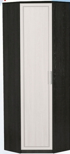 Шкаф для одежды угловой ДЛЯ ГОСТИНОЙ ШОУ-695 Венге/Дуб выбеленный в Кедровом - kedrovyi.mebel54.com | фото