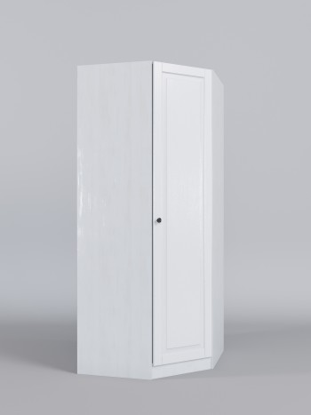 Шкаф угловой (угловая секция) Классика (Белый/корпус Выбеленное дерево) в Кедровом - kedrovyi.mebel54.com | фото